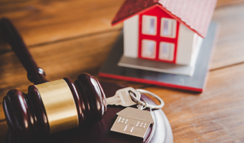 STING Aukční portál